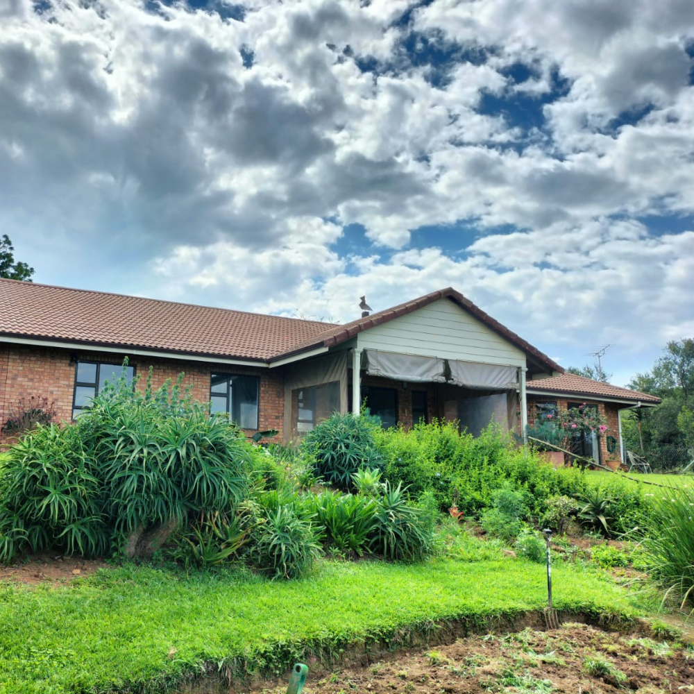 Professional roof cleaning in Howick. Professional high pressure cleaning in Howick. Roof treatments Howick.