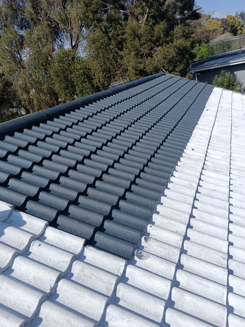 Roof Painting